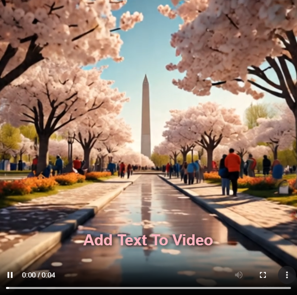 cherry-blossoms-washington dc